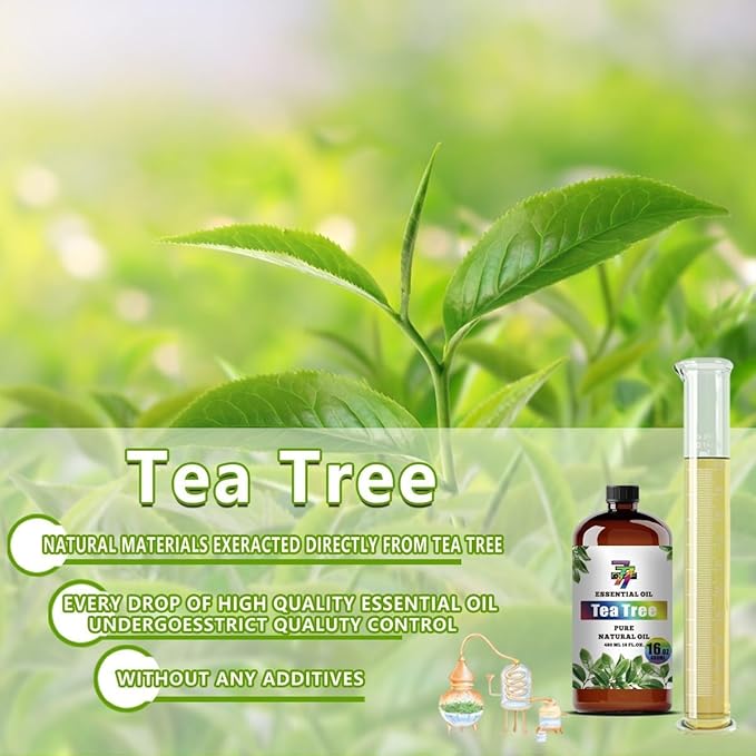 Tea Tree Essential Oil - GV77ZF Tea Tree Oils for Diffusers, Humidifiers, DIY Candles, Soap, Cleaning, Home, Office, Yoga, Massage, Gifts - 16 fl oz (480 ml)