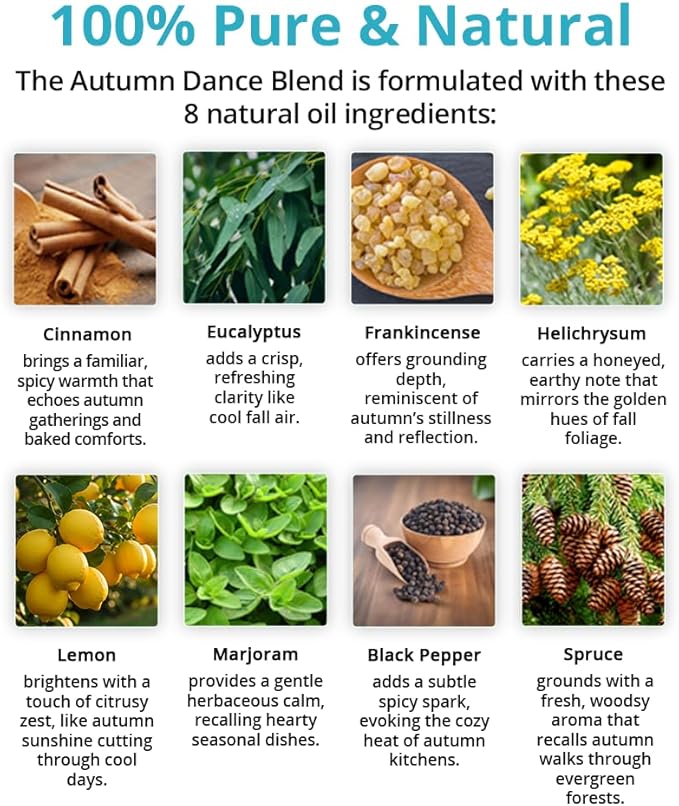 Wild Essentials Autumn Dance 100% Pure Essential Oil Synergy Blend 2 Pack - 10ml, Therapeutic Grade, Warming, Potpourri, Comfort, Made and Bottled in The USA
