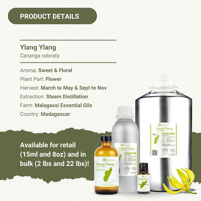 Ylang Ylang Essential Oil - Direct from Malagassi Essential Oils Madagascar - Steam Distilled - Aceite de Ylang Ylang for Aromatherapy, Diffuser, DIY Candle and Soap Making - 2lbs