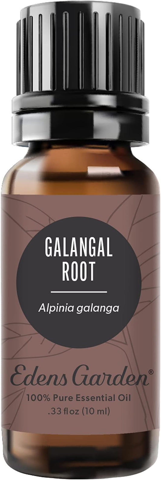 Edens Garden Galangal Root Essential Oil- 100% Pure Premium Grade, Undiluted, Natural, Therapeutic, Aromatherapy, The Best for Diffuser, Candle, Laundry, Humidifiers 10 ml (.33 fl oz)