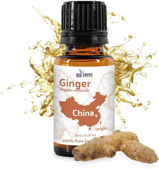Ginger Essential Oil - Direct from Bio-Young Aromas - Pure Ginger Oil for Skin - Aceite de Jengibre - Aromatherapy 100% Therapeutic Premium Grade (15ml)