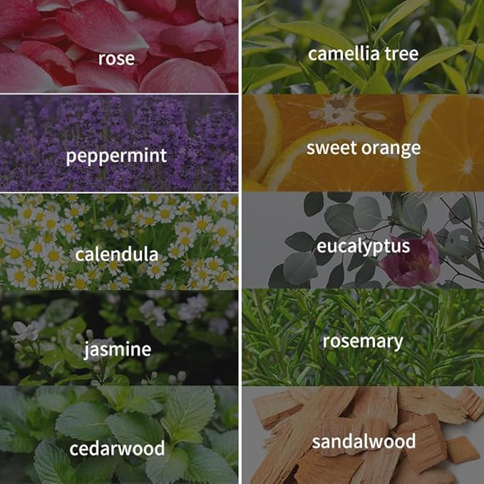 Eucalyptus,Fragrance Oil for Massage,Bath,Spa,Skin and Hair Care, Diffuser Essential Aromatherapy Oils,Waterless Oil for Diffuser Easy to Nebulizer