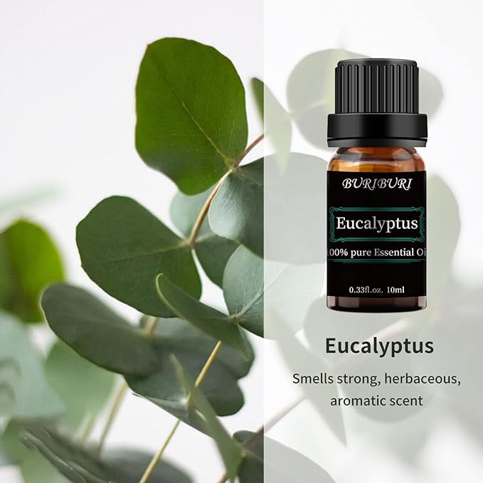 Eucalyptus and Vanilla Essential Oil Set 2 Pack, 100% Pure Diffuser Oil for Massage, Soap Making
