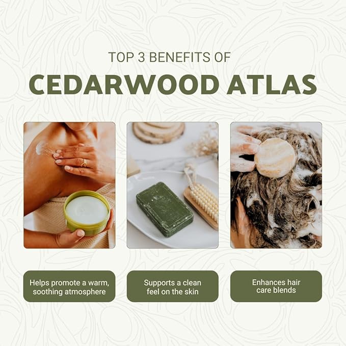 Pure Cedarwood (Atlas) Essential Oil (22lbs) - Direct from Malagassi Essential Oils Farm in Morocco - Essential Oils for Diffusers and Aromatherapy | Pure Therapeutic Grade