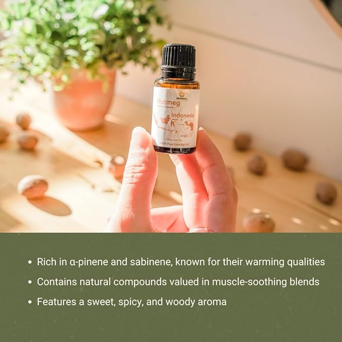 Nutmeg Essential Oil - Direct from Central Java, Indonesia - Pure Essential Oils for Diffusers, Muscle Relief and Aromatherapy | Premium Therapeutic Grade (15ml)