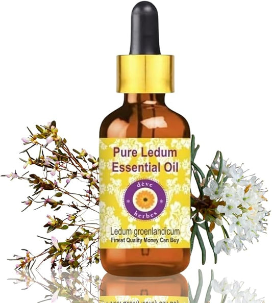 dève herbes Ledum Essential Oil (Ledum groenlandicum) with Glass Dropper | Pure | Non-Sticky | Non-Greasy | Lightweight | Men & Women | All Skin Types | Steam Distilled 30ml (1 oz)