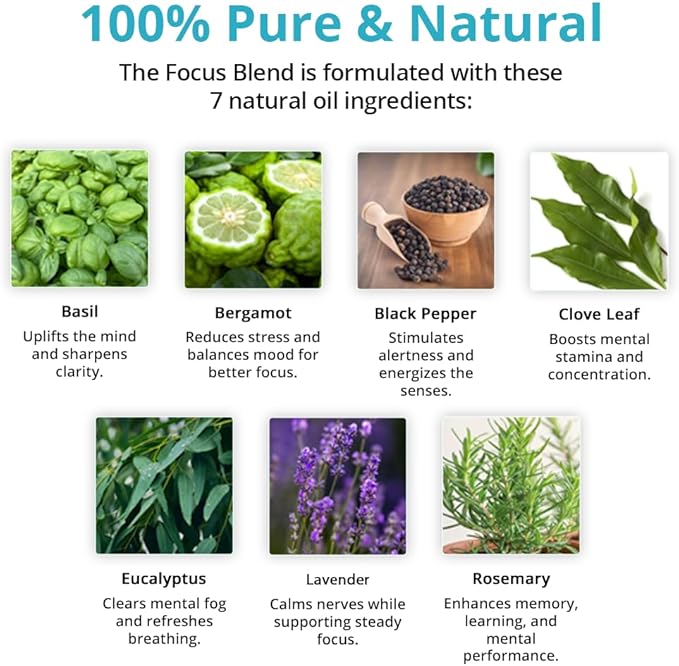 Wild Essentials Focus 100% Pure Essential Oil Synergy Blend 10ml, Therapeutic Grade Concentration Formula for Mental Clarity, Study, Work, Test, Interview, Attention Made in The USA