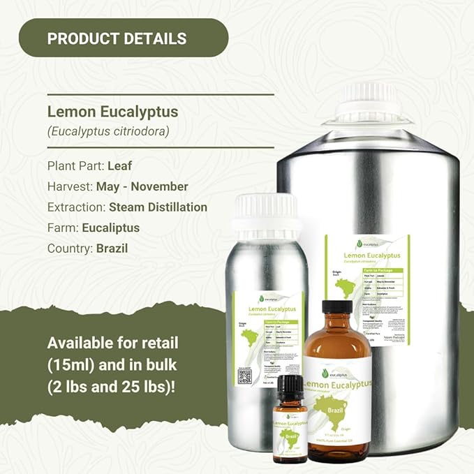 Lemon Eucalyptus Oil by Eucaliptus from Brazil - Pure Lemon Eucalyptus - 100% Pure Steam Distilled Natural Aceite de Eucalipto Limón - Aromatherapy - Premium Therapeutic Grade (8oz)