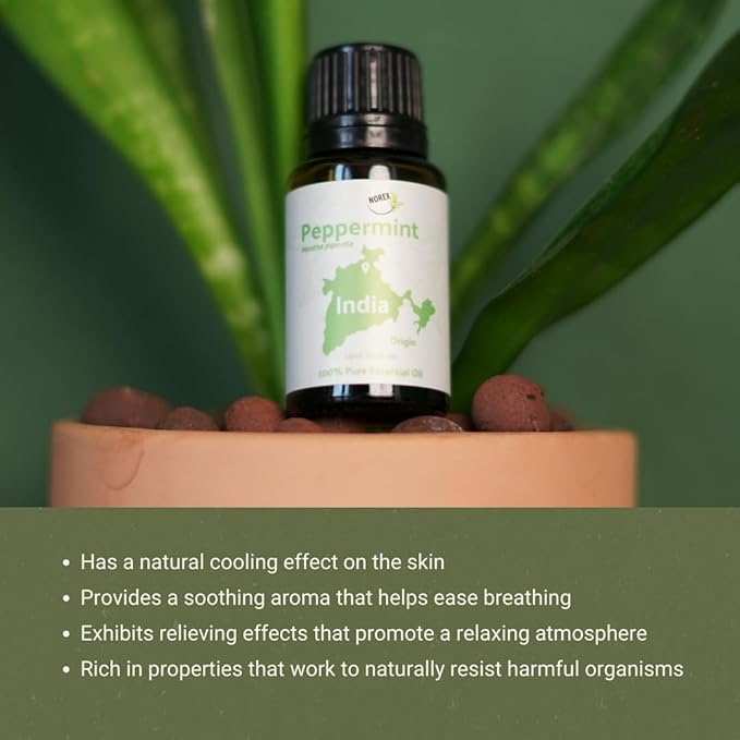 Peppermint Essential Oil - Direct from Norex Flavours India - Steam Distilled - Aceite Esencial de Menta for Aromatherapy, Massage, Diffuser, DIY Candle and Soap Making - 15ml