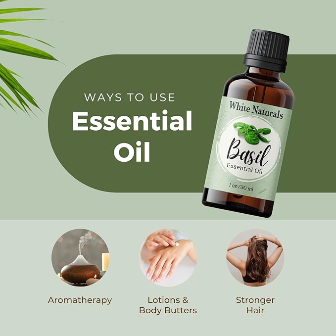 Basil Essential Oil,100% Pure & Natura, Therapeutic Grade Basil Oil for Aromatherapy, Great for Skin, Massage, Diffuser Candle & Soap Making, Plant Therapy 1 oz Bottle with Dropper
