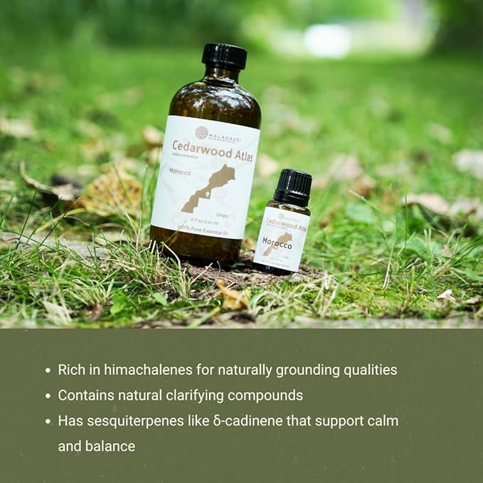 Pure Cedarwood (Atlas) Essential Oil (2lbs) - Direct from Malagassi Essential Oils Farm in Morocco - Essential Oils for Diffusers and Aromatherapy | Pure Therapeutic Grade