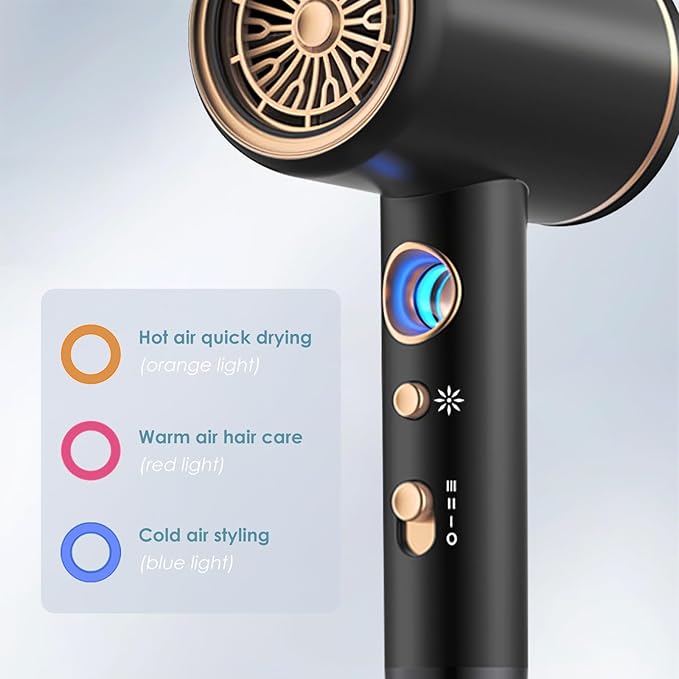 Hair Dryer, Professional Ionic Hair Dryer, Powerful 2200W Fast Drying Low Noise Blow Dryer with 2 Concentrator Nozzle 1 Diffuser Attachments for Women and Men (Black)