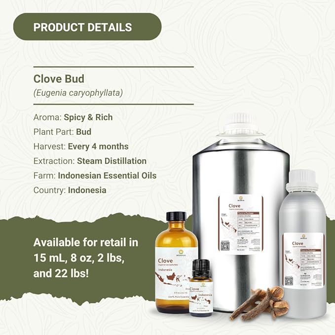 100% Pure Clove Essential Oils - Direct from Indonesian Essential Oils - Essential Oil for Diffusers Aromatherapy & Humidifiers (15ml) | Natural Cold-Pressed