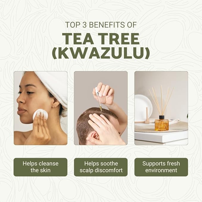 Tea Tree Essential Oil - Direct from Kwazulu Botanicals South Africa - Steam Distilled - Aceite Esencial de Árbol de Té for Aromatherapy, Diffuser, DIY Candle and Soap Making - 22lbs