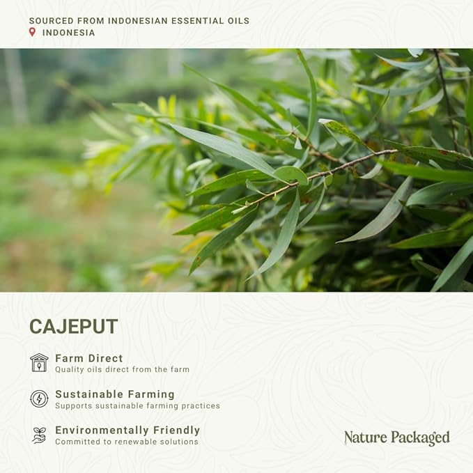 Cajeput Essential Oil (2lbs) - Direct from Central Java, Indonesia - Essential Oils for Diffusers Aromatherapy; Essential Oils for Body; Massage Oils | 100% Pure Therapeutic Grade
