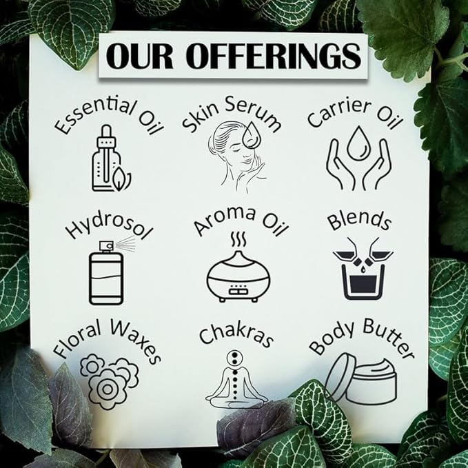 dève herbes Pure Juniper Berry Essential Oil (Juniperus communis) with Glass Dropper Steam Distilled 100ml (3.38 oz)
