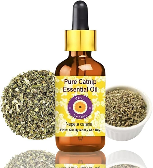 dève herbes Catnip Essential Oil (Nepeta cataria) with Glass Dropper | Pure | Non-Sticky | Non-Greasy | Lightweight | Men & Women | All Skin Types | Steam Distilled 5ml (0.16 oz)