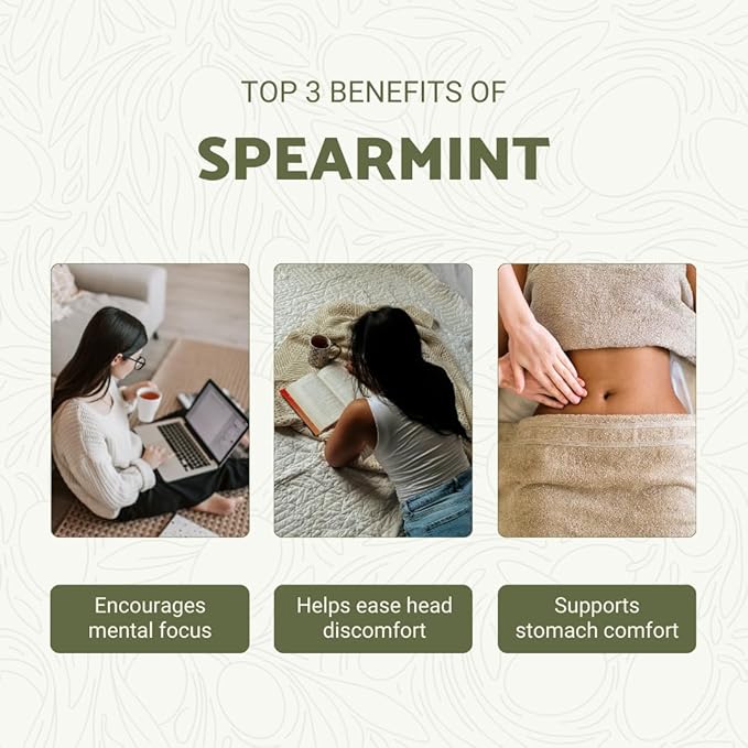 Spearmint Essential Oil - Direct from Essential Oils India - Steam Distilled - Aceite Esencial de Menta Verde for Aromatherapy, Massage, Diffuser, DIY Candle and Soap Making - 15ml