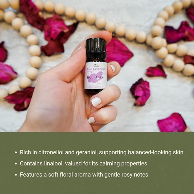 Rose Geranium Essential Oil - Direct from Kwazulu Botanicals in South Africa- Organic Essential Oils for Body, Diffusers, or Aromatherapy | Pure Therapeutic Grade (5ml)