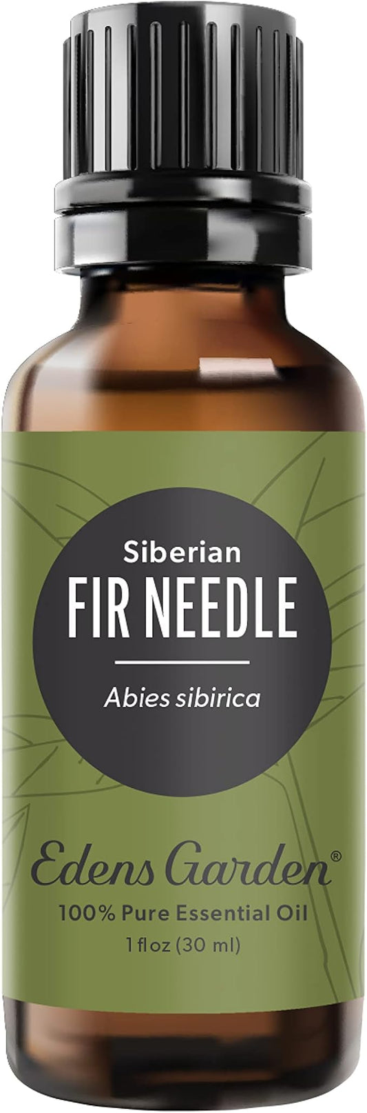 Edens Garden Fir Needle- Siberian Essential Oil- 100% Pure Premium Grade, Undiluted, Natural, Therapeutic, Aromatherapy, The Best for Diffuser, Candle, Laundry, Humidifiers 30 ml (1 fl oz)