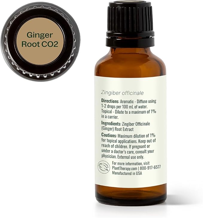 Plant Therapy Ginger Root CO2 Essential Oil 30 mL (1 oz), 100% Pure, Undiluted, Digestion Support and Aromatherapy