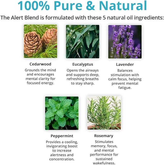 Wild Essentials Alert 100% Pure Essential Oil Synergy Blend - 10ml, Therapeutic Grade - Keeps You Awake, Sharp and Energized with a Fresh, Clean and Uplifting Aroma, Made in The USA