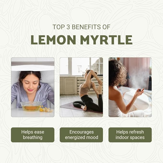 Lemon Myrtle Essential Oil - Experience an Invigorating, Fresh Citrus Aroma - Pure, Undiluted Therapeutic Grade Essential Oil - 2lbs