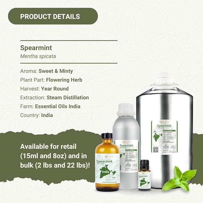 Spearmint Essential Oil - Direct from Essential Oils India - Steam Distilled - Aceite Esencial de Menta Verde for Aromatherapy, Massage, Diffuser, DIY Candle and Soap Making - 15ml