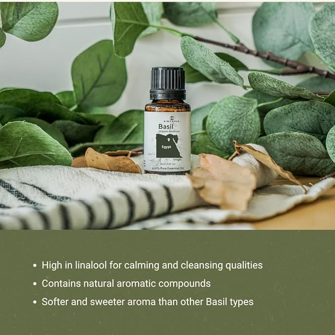 Basil Essential Oil - Direct from Fridal Egypt - Steam Distilled - Aceite de Albahaca for Aromatherapy, Massage, Diffuser, DIY Candle and Soap Making - 2 lbs