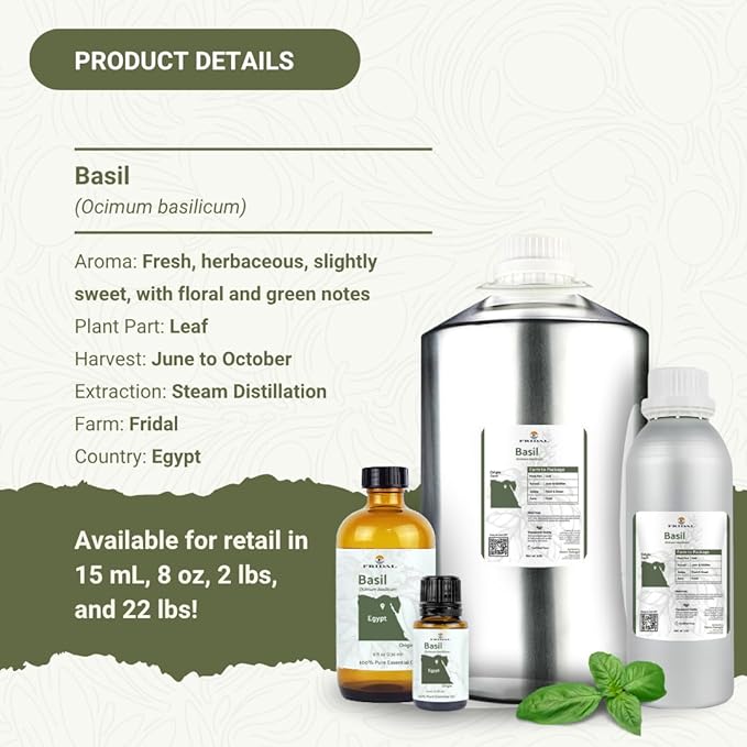 Basil Essential Oil - Direct from Fridal Egypt - Steam Distilled - Aceite de Albahaca for Aromatherapy, Massage, Diffuser, DIY Candle and Soap Making - 15ml