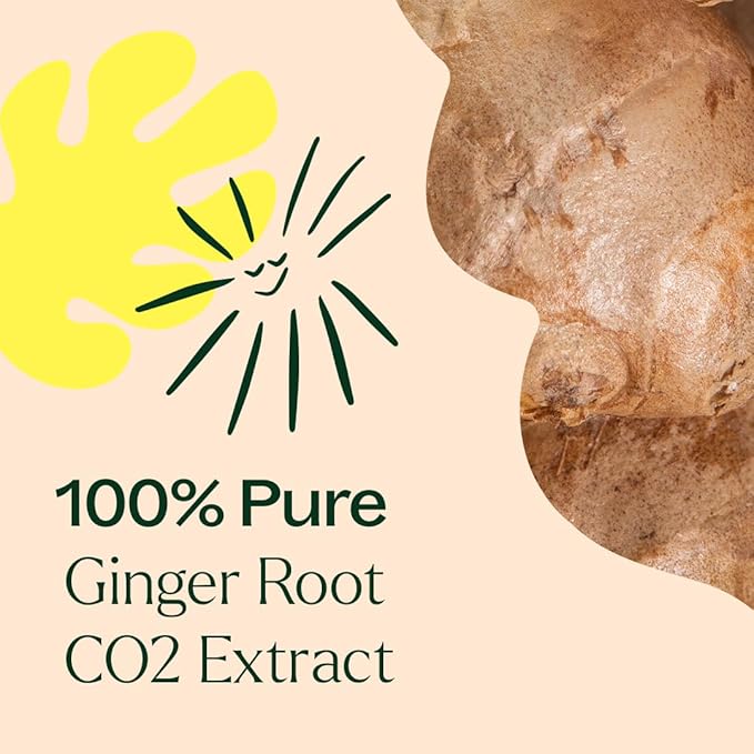 Plant Therapy Organic Ginger Root CO2 Essential Oil 10 mL (1/3 oz) 100% Pure, Undiluted, Natural Aromatherapy