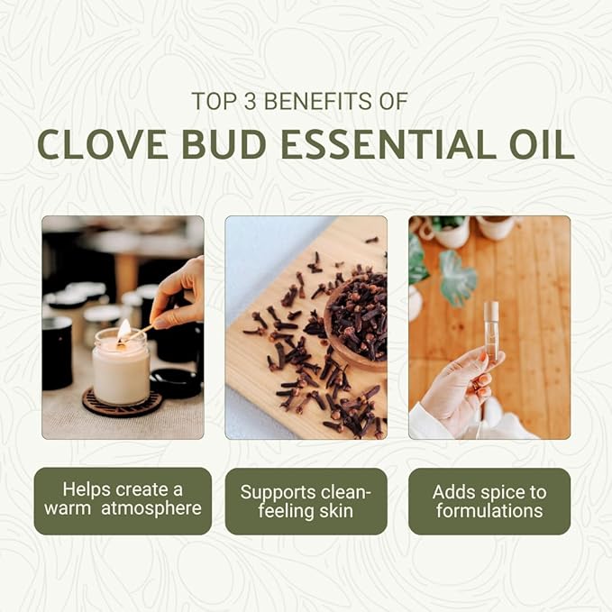 Clove Essential Oil - 100% Pure Steam Distilled Natural Aceite de Clavo from Indonesia for Aromatherapy & Wellness - Premium Grade (22lbs)