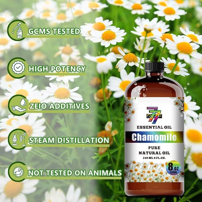 Chamomile Essential Oil - GV77ZF Chamomile Oils for Diffusers, Humidifiers, DIY Candles, Soap, Cleaning, Home, Office, Yoga, Massage, Gifts - 8 fl oz (240 ml)
