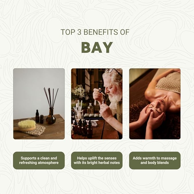 Bay Essential Oil - Direct from Greece - Steam Distilled - Laurel for Aromatherapy, Massage, Diffuser, DIY Candle and Soap Making - 5ml