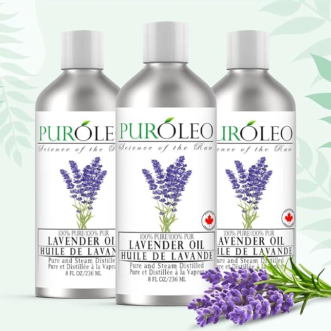 PUROLEO Lavender Essential Oil 8 Fl Oz/236 ML (Packed in Canada) 100% Pure Natural Undiluted for Aromatherapy, Aromatherapy Oil for Sleep, Relaxation Bulgaria France Oil Diffuser