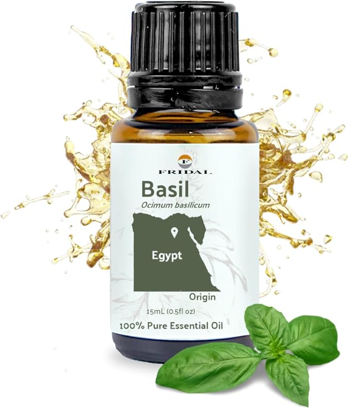 Basil Essential Oil - Direct from Fridal Egypt - Steam Distilled - Aceite de Albahaca for Aromatherapy, Massage, Diffuser, DIY Candle and Soap Making - 15ml
