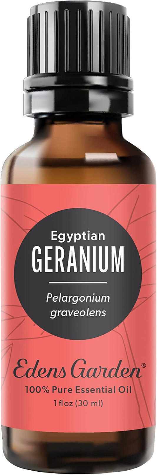 Edens Garden Geranium- Egyptian Essential Oil- 100% Pure Premium Grade, Undiluted, Natural, Therapeutic, Aromatherapy, The Best for Diffuser, Skin, Face, Hair 30 ml (1 fl oz)