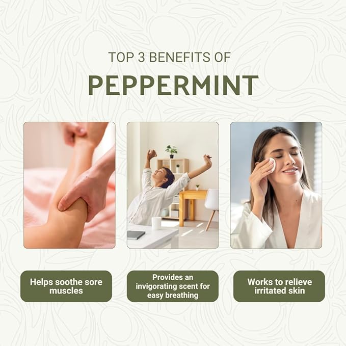 Peppermint Essential Oil - Direct from Norex Flavours India - Steam Distilled - Aceite Esencial de Menta for Aromatherapy, Massage, Diffuser, DIY Candle and Soap Making - 2lbs