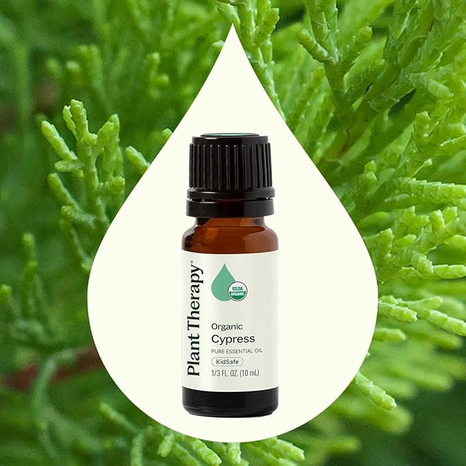 Plant Therapy Organic Cypress Essential Oil 10 mL (1/3 oz), 100% Pure, Undiluted, Natural Aromatherapy for Congestion Relief and Clear Skin