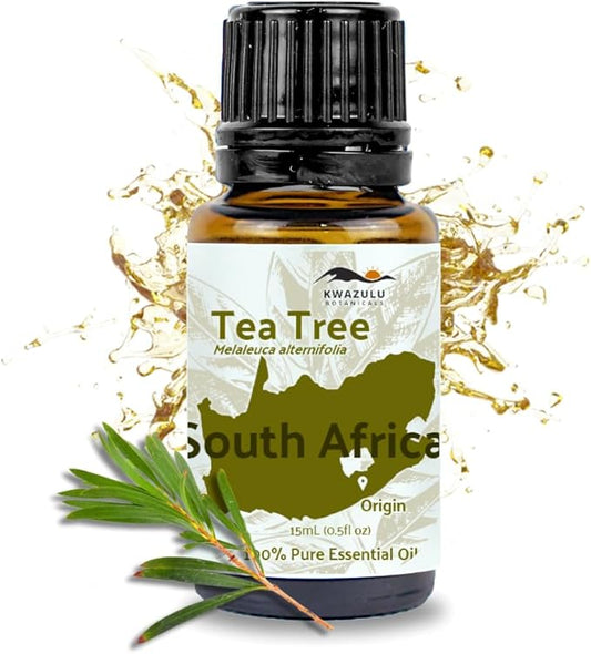 Tea Tree Essential Oil - Direct from Kwazulu Botanicals South Africa - Steam Distilled - Aceite Esencial de Árbol de Té for Aromatherapy, Diffuser, DIY Candle and Soap Making - 15ml