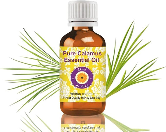 Deve Herbes Pure Calamus Essential Oil (Acorus Calamus) Steam Distilled 10ml (0.33 oz)