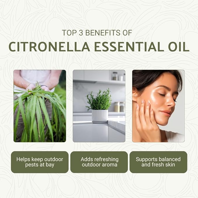 Citronella Essential Oil - Direct from Central Java, Indonesia - Pure Essential Oil for Diffusers and Aromatherapy | 100% Pure Therapeutic Grade (22LBS)