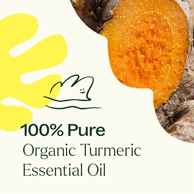 Plant Therapy USDA Certified Organic Turmeric CO2 Essential Oil 10 mL (1/3 oz) 100% Pure, Undiluted, Supports Healthy Digestion