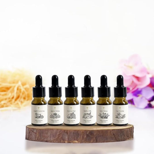PRISTINE Top 6 Hotel Fragrance Oil Set for Water-Based Diffuser for Home, Humidifier, Home Scent (Casa Particular, Moroccan Riad, English Country Inn, Maldives Villa, Swiss Chateau, Japanese Ryokan)