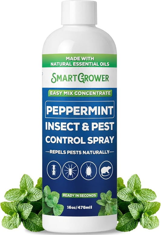 Peppermint Insect & Pest Control Best Value Concentrate - Repels Insects & Pests for Home, Indoor, Outdoor, Garden - Maximum Strength Concentrate (Makes Two Gallons RTU) 16 oz