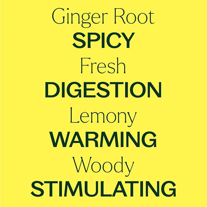 Plant Therapy Ginger Root CO2 Essential Oil 30 mL (1 oz), 100% Pure, Undiluted, Digestion Support and Aromatherapy
