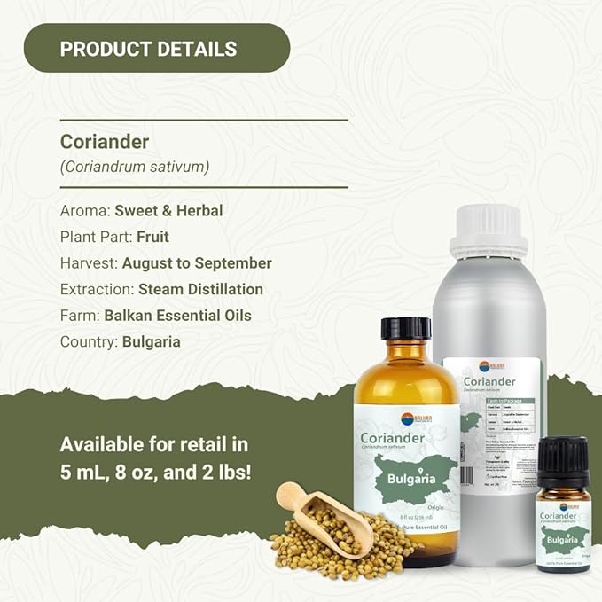 Coriander Essential Oil - Direct from Bulgarian Balkan Mountains - Steam Distilled - Aceite Cilantro for Aromatherapy, Massage, Diffuser, DIY Candle and Soap Making - 5ml
