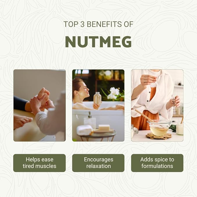 Nutmeg Essential Oil - Direct from Central Java, Indonesia - Pure Essential Oils for Diffusers, Muscle Relief and Aromatherapy | Premium Therapeutic Grade (8oz)