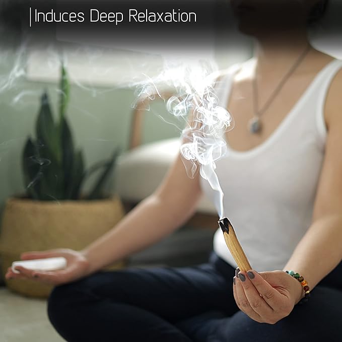 Wish Well Sage Smudge Kit - 3 Seven Chakra Sage Sticks, 2 Palo Santo Sticks, Abalone Shell, Stand, Feather, 7 Chakra Stones & Crystal Bracelet ~ Sage Incense Sticks for Cleansing House & Meditation
