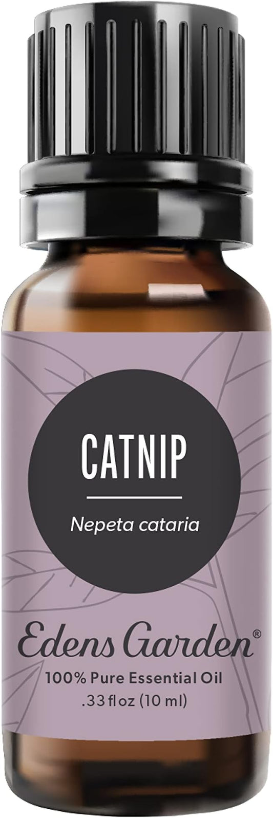 Edens Garden Catnip Essential Oil, 100% Pure Therapeutic Grade (Undiluted Natural/Homeopathic Aromatherapy Scented Essential Oil Singles) 10 ml